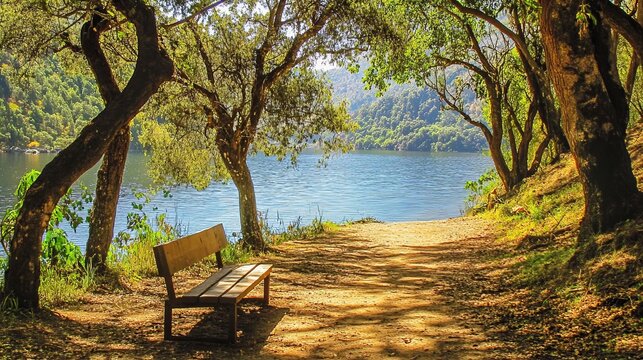 Peaceful park bench by a serene lake, lush trees