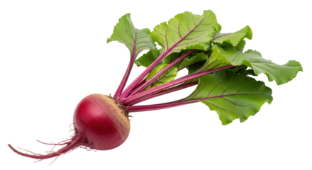 Isolated Beetroot with Leaves