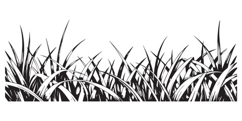 Black and White Illustration of Tall Grass Blades Growing in Dense Patches