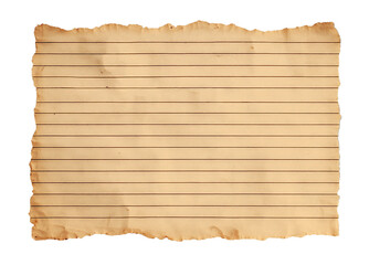 torn lined notebook paper sheet isolated on transparent background, cutout