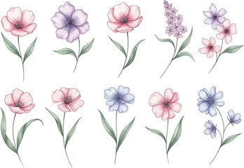 Fototapeta premium Collection of delicate watercolor floral illustrations featuring soft pink purple and blue blossoms on white background