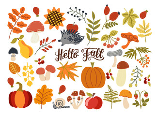 Hello Fall lettering, autumn decorative vector card.