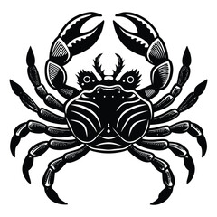 Black and white vector illustrations of a crab and a scorpion