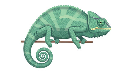 Obraz premium Green chameleon on a branch, reptile, lizard, wildlife, nature, isolated