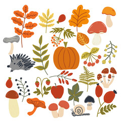Autumn set of vector illustrations with berries, fruits, vegetables, fall leaves, mushrooms. Flat style.