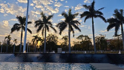 palm trees at dusk © Yuanqi