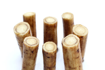 Fresh burdock roots or gobo roots