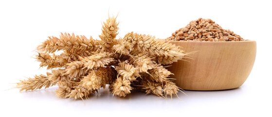 Wheat grains in wooden bowl and ears