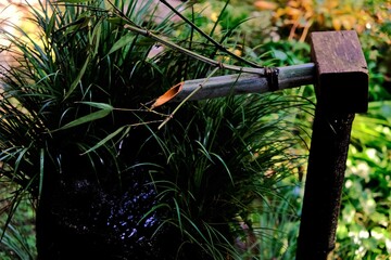 日本、京都、紅葉、寺院、三千院、鳥居、木造建築、古代建築、日本文化、歷史名勝、古都京都の文化財、木、綠色、青空、秋、絶景、写真素材