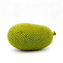 Jackfruit A close-up shot of a fresh, whole jackfruit.