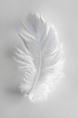 Illuminated White Feather Design