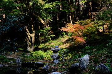 日本、京都、紅葉、寺院、三千院、鳥居、木造建築、古代建築、日本文化、歷史名勝、古都京都の文化財、木、綠色、青空、秋、絶景、写真素材