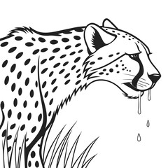 vector illustration of a leopard ,Bloodthirsty leopard

