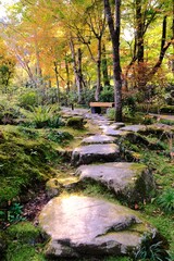 日本、京都、紅葉、寺院、三千院、鳥居、木造建築、古代建築、日本文化、歷史名勝、古都京都の文化財、木、綠色、青空、秋、絶景、写真素材