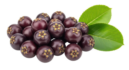 Isolated Jaboticaba Fruits with Leaves