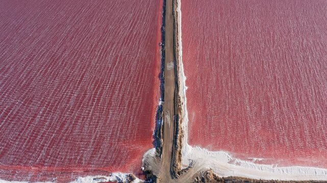 Slow drone reveal shot of a vibrant pink salt lake in Walvis Bay, Namibia, with small waves rippling under strong coastal winds