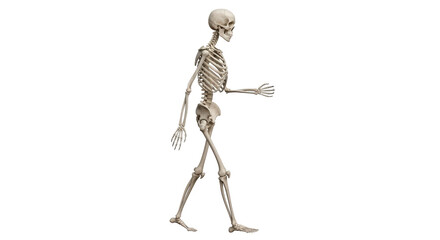 Isolated Skeleton Walking