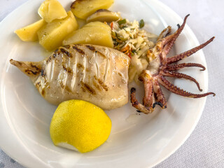 Grilled Calamari with Potatoes, Salad. seafood plate