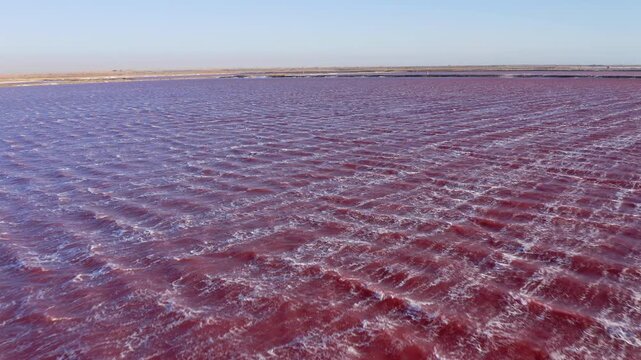 Low drone shot flying just above a vibrant pink salt lake in Namibia, with small waves rippling across the water. Walvis bay