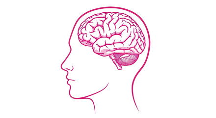 Isolated Brain Drawing on White Background