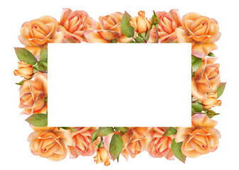 Orange rose floral frame, drawing in digital watercolor style. Great for invitation cards, business cards, branding, packaging, wedding decor, posters, and seasonal projects.