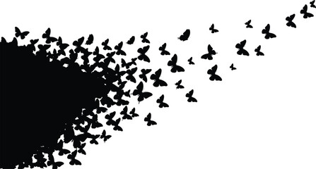 Silhouettes of butterflies flying in swarm, abstract insect design, black and white pattern, nature beauty, wildlife, peaceful motion scene