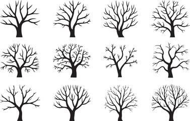 Obraz premium Bare deciduous trees with intricate branch patterns branches silhouette