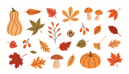 Autumn trendy set of leaves, pumpkins, berries and mushrooms
