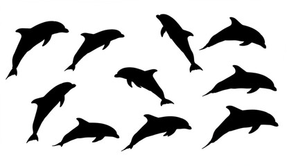Obraz premium set of black silhouette of dolphin on a separate white background 