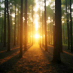 morning in the park