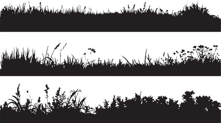 Black silhouette of wild grass and flowers white nature