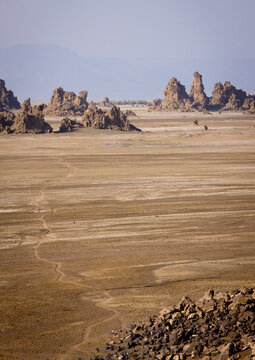Afar Man And His Camels, Lake Abbe, Djibouti