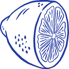 Hand draw lemon vector illustration. Sliced citrus fruit isolated on white background