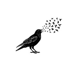 A black crow standing and cawing with a flock of smaller birds flying from its beak in the air
