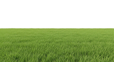 Isolated fresh green grass field