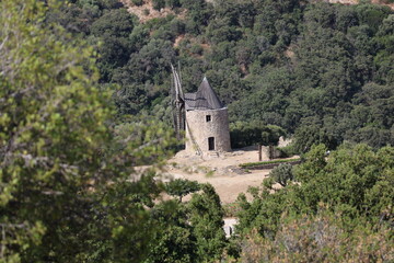 Fototapeta premium Moulin Saint Roch a Grimaud