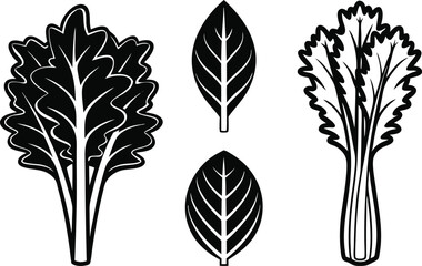 Fototapeta premium Black and white illustration of various leafy green vegetables