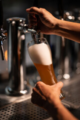 Craft beer is being poured into glasses to be served.