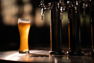 Craft beer on tap at the bar