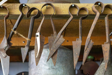 Rusty sheep shears hanging from a wooden beam. Vintage livestock grooming tools with visible wear...