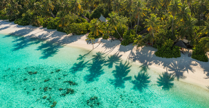 Amazing aerial beach nature landscape tropical paradise island. Beautiful palm trees casting sunshine shadows on sand, top summer vacation destination, best luxury resort coast, tourism holiday escape