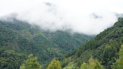 The beautiful mountains landscapes with the green forest and little village as background in the rainy day
