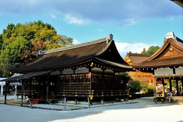 日本、京都、紅葉、神社、上賀茂神社、鳥居、木造建築、古代建築、日本文化、歷史名勝、古都京都の文化財、木、綠色、青空、秋、絶景、写真素材