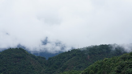 The beautiful mountains landscapes with the green forest and little village as background in the rainy day