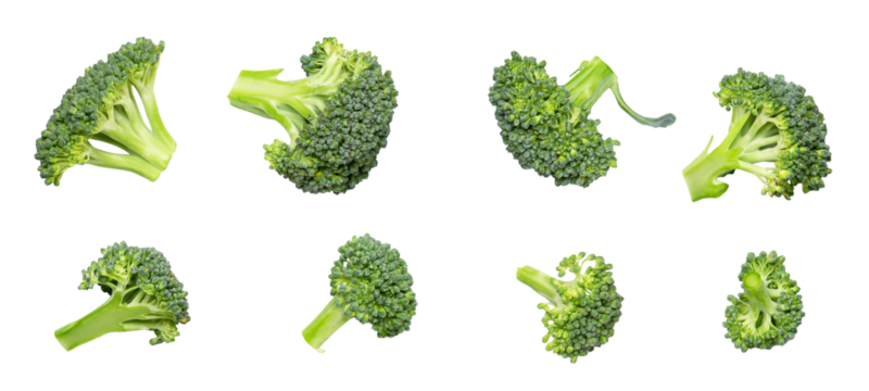 broccoli florets isolated on transparent background