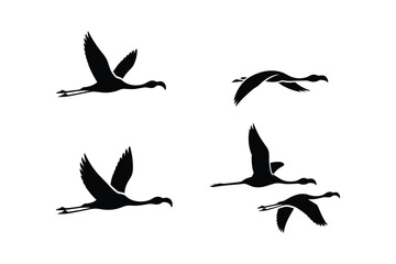 Obraz premium Flamingos flying in silhouette bird black
