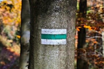 Trail sign in Beskidy mountains, Poland