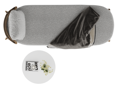 Top view of modern daybed with throw blanket and round table with flower decor - Transparent background
