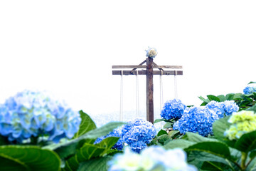 Blooming Blue Hydrangea Flowers in Natural Garden Setting
