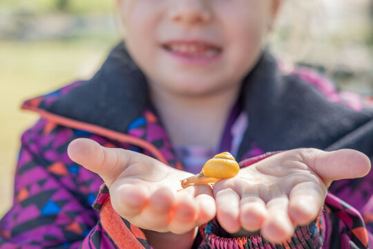 beautiful grape snail, Teaching Children About Nature, environmental education and introducing kids to wonders natural world